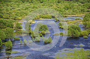 Horizontal landscape: the river flooded the valley. River and the field on a sunny summer day. Voroninsky National Park