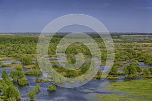 Horizontal landscape: the river flooded the valley. River and the field on a sunny summer day. Voroninsky National Park