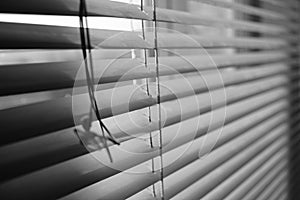 Horizontal metal jalousie with old rope, macro image. Blinds background. BW photo