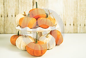 Horizontal Mini pumpkins on wood