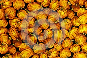 horizontal orange pumpkin background