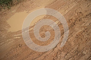 Horizontal overhead medium shot of muddy jungle road with small puddle amid various tire tracks