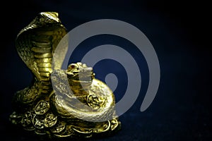 Gilded figure of a snake and a toad on a black background