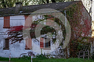 Horizontal photo of an old house entwined with a climbing plant