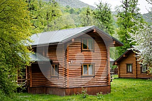 Horizontal photo of  wooden house in  green forest. Pros and cons of  wooden house and suburban real estate concept