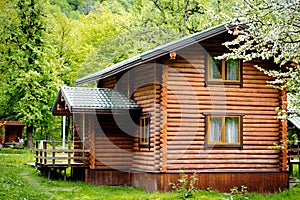 Horizontal photo of  wooden house in  green forest. Pros and cons of  wooden house and suburban real estate concept