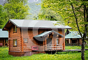 Horizontal photo of  wooden house in  green forest. Pros and cons of  wooden house and suburban real estate concept