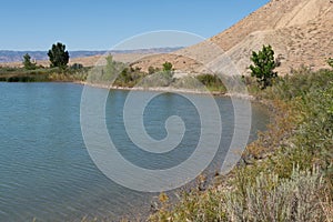 Horizontal Photograph of the Shore of a Desert Lake with Native plants