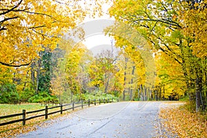 A scenic view of a fence lined road going into the Autumn forest