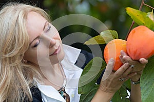 Horizontal portrait of Caucasian blond woman picking hachiya persimmons photo