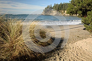 Horizontal portrait of Sunset Bay beach. 11/2022