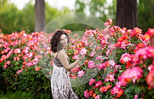 Horizontal portrait of young attractive brunette caucasian woman near huge pink rose bush in a garden. Smiling, looking to the cam