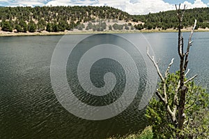 Horizontal, Quemado Lake, New Mexico. photo