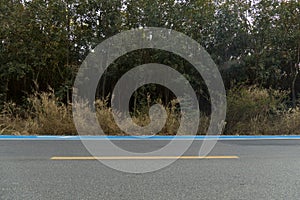 The horizontal road with grassy pastures and rubber forest.