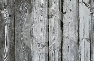 Horizontal rustic weathered old painted wood background with knots and nail holes. Woods texture.