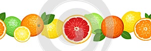 vector horizontal seamless background with citrus