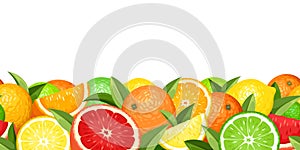 Horizontal seamless background with citrus fruits. Vector illustration.