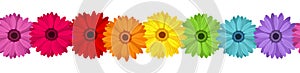 Vector horizontal seamless background with gerbera photo