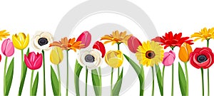 Horizontal seamless background with colorful flowers. Vector illustration.
