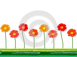 Horizontal seamless background with colorful gerbera flowers. Vector illustration.