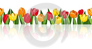 Horizontal seamless background with colorful tulips. Vector eps-10.