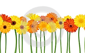 Horizontal seamless background with gerbera flowers. Vector illustration.