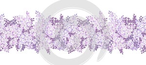 Horizontal seamless background with lilac flowers. Vector.