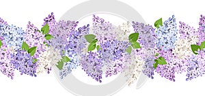 Horizontal seamless background with lilac flowers. Vector illustration.