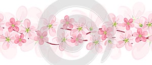 Vector horizontal seamless background with flowers