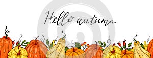 Horizontal seamless background with pumpkins and autumn leaves in hand drawn style. Vector illustration
