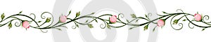 Horizontal seamless background with rosebuds. Vector illustration. photo