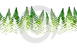 Horizontal seamless border with fern leaves paint prints isolated on white background 2