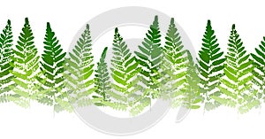 Horizontal seamless border with fern leaves paint prints isolated on white background