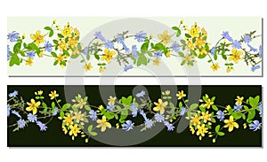Horizontal seamless border of meadow hypericum and chicory flowers on white and dark background.