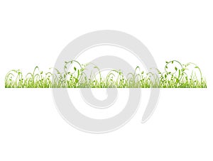 Horizontal seamless border with spring green grass lawn or meadow on white background