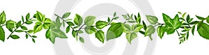 Horizontal seamless border with various green leaves. Vector illustration.