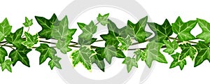 Horizontal seamless garland with ivy leaves. Vector illustration.