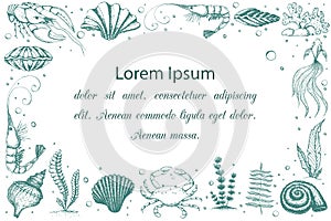 Horizontal seashells and marine life banner with place for text. vintage background with engraved seaweeds, sea animals