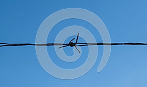 Horizontal sharp wire barb isolated on blue sky background. Closeup
