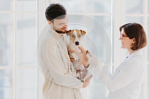 Horizontal shot of caring dog owner carries pet on hands, shows to animal specialist. Jack russell terrier being examined by vet photo