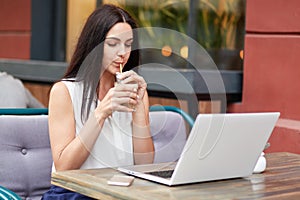 Horizontal shot of good looking young female model sips tasty beverage, concentared at modern laptop computer, watches interesting