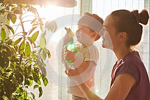 Horizontal shot of handsome small make kid holds pulverizer, helps mother to spray and water domestic flowers, stand together agai