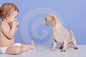 Horizontal shot of little boy with best friend pug dog puppy, child playing with puppy, cheeper looking smiling at animal isolated