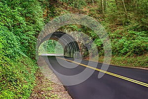 New Blacktop Road Through Smoky Mountains photo