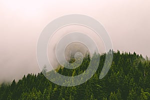 Horizontal shot of a rock formation covered in thick fog in with green pine tree forest underneath