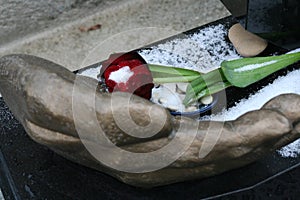 Horizontal Shot of Rose with Hand at  PÃ¨re Lachaise Cemetery in Paris