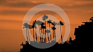 Horizontal shot of silhouetted palm trees next to a house during sunset