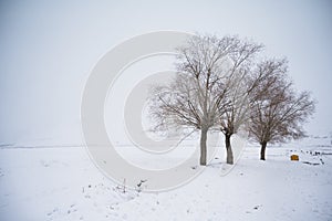 Horizontal shot of Spiti Valley, Kaza in winter