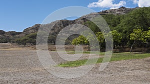 Landscape inside the Diamond Head crater, an extinct volcanic cone near Waikiki, Honolulu, Oahu island, Hawaii, USA