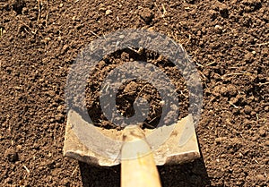 Horizontal Shovel in Dirt photo